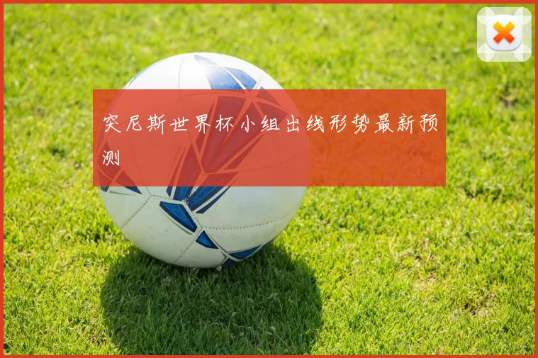 突尼斯世界杯小组出线形势最新预测