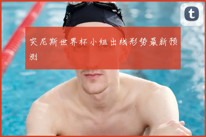 突尼斯世界杯小组出线形势最新预测